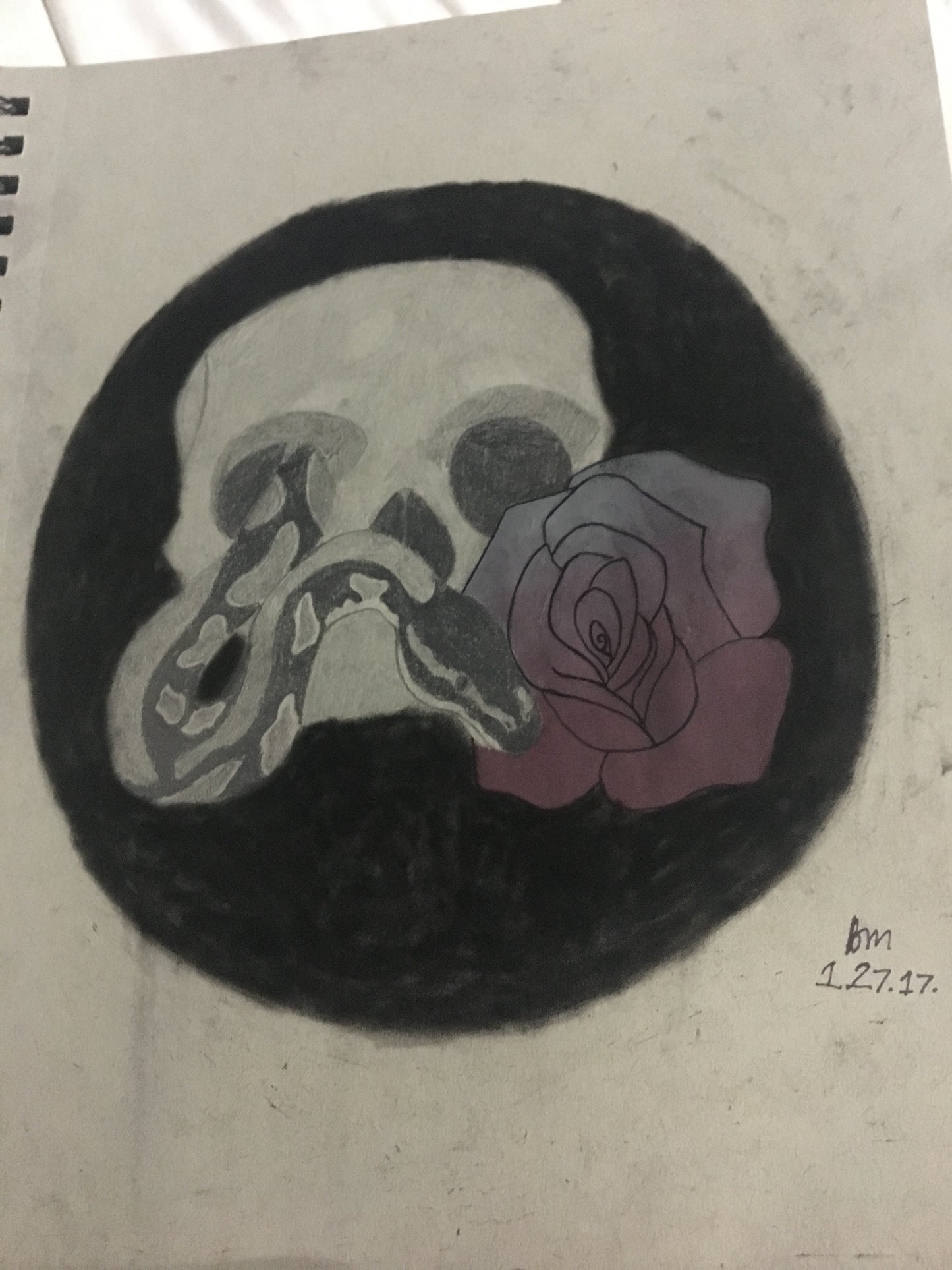 Skull & Snake